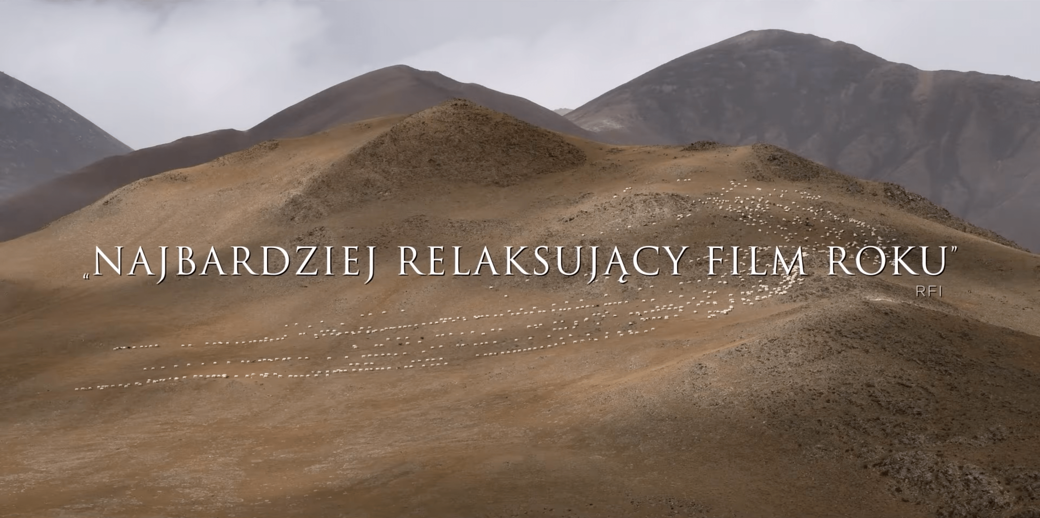 Screenshot 2022-01-24 at 16.34.44